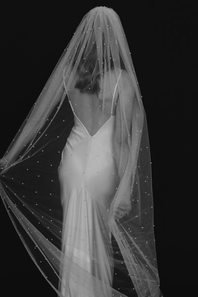 Jackson Veil