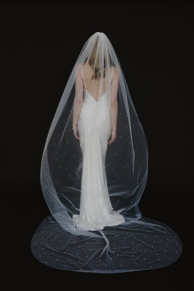 Jackson Veil