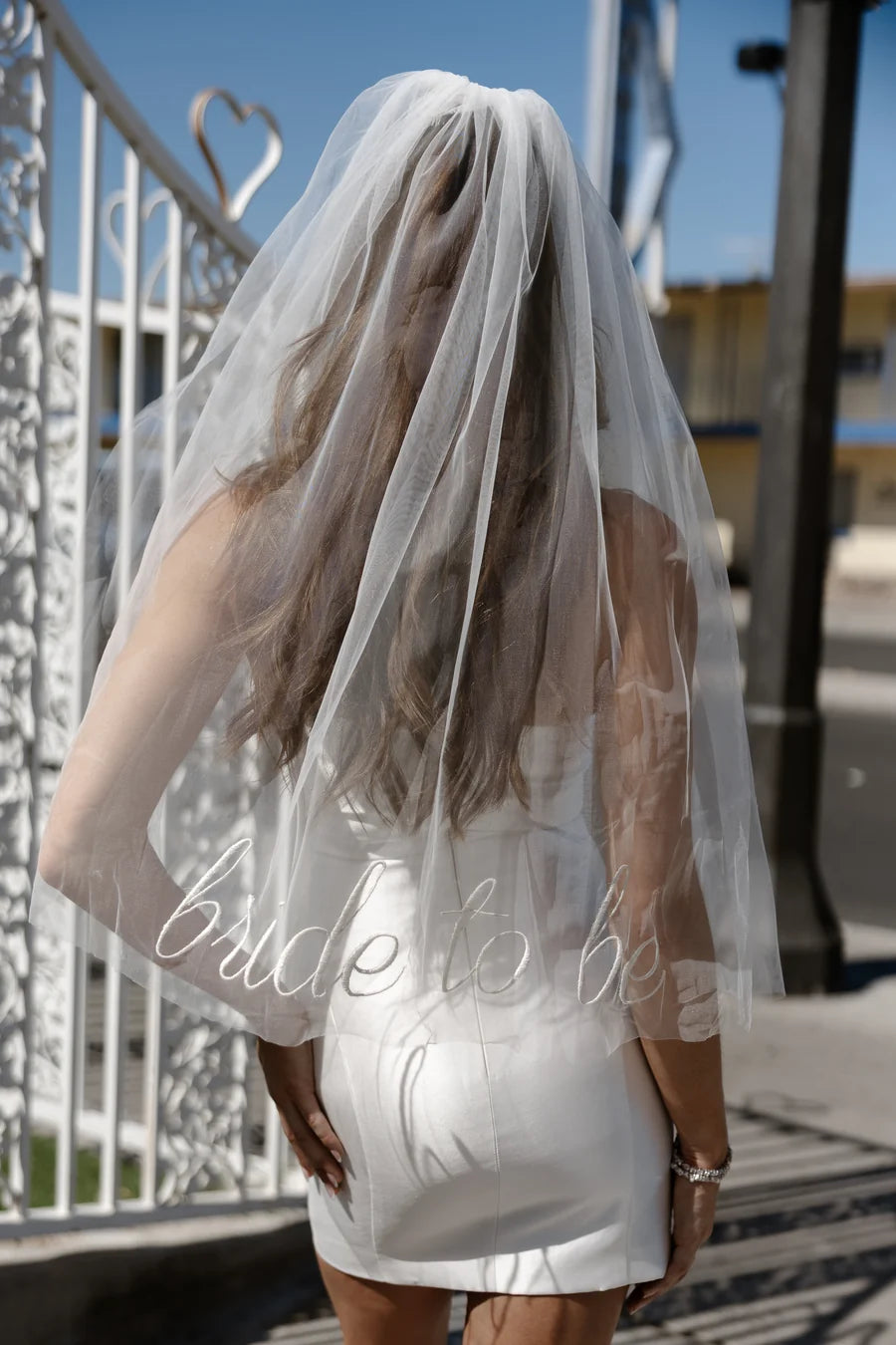 Bride To Be Mini Veil